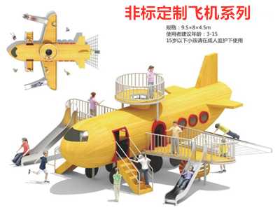 江西非標(biāo)定制飛機(jī)系列1